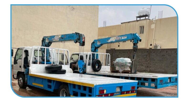 دينا ونش كرين المدينة المنورة